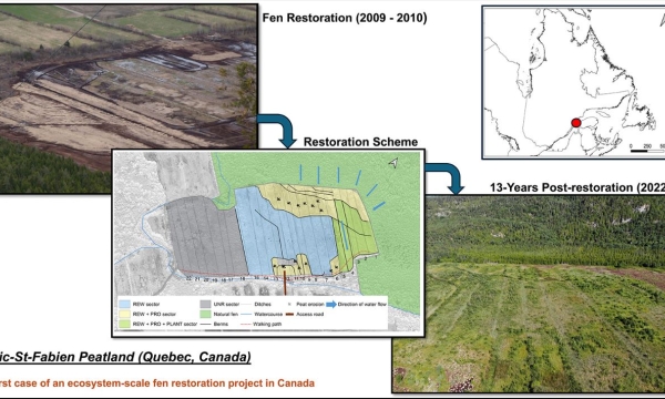 Peatland Graphical Abstract