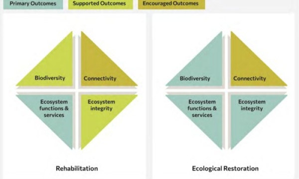Rehabilitation vs. restoration