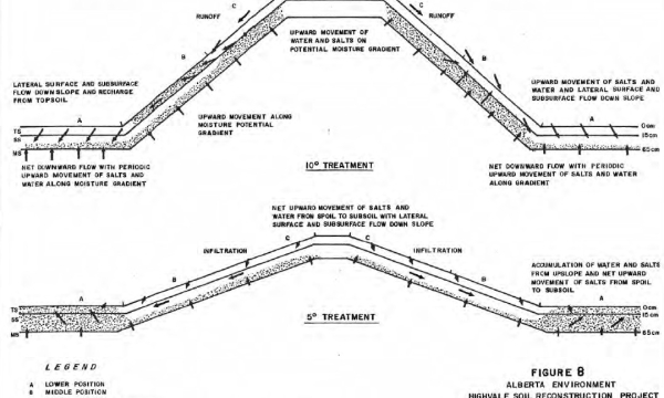 Salt movement at Highvale Plots