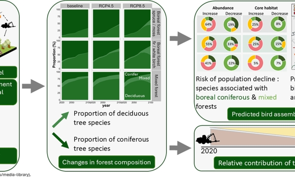 Bird Assemblage Response to Climate Graphical Abstract