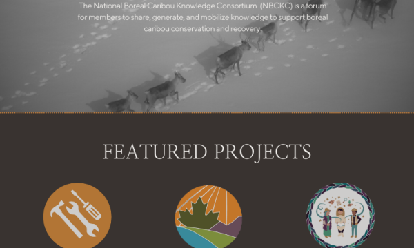 Newsletter cover page