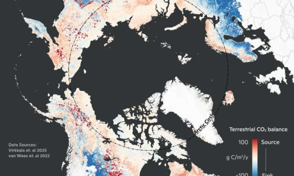 Arctice Average Terrestrial CO2 Balance (2001-2020)
