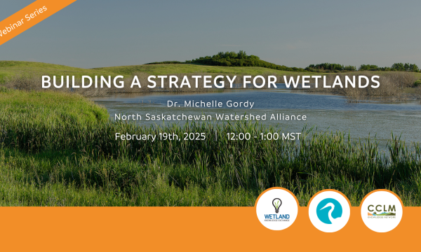 Building a Strategy for Wetlands
