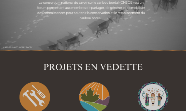 page de couverture de la newsletter
