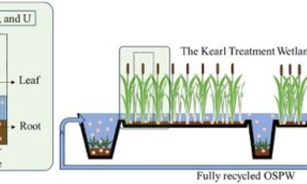 Treatment Wetland Graphical Abstract