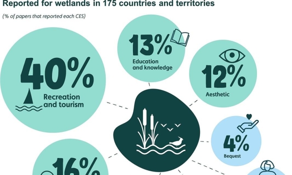 Cultural Ecosystem Sevices