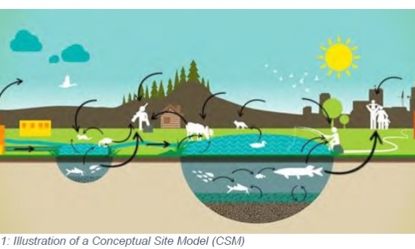 Conceptual Site Model