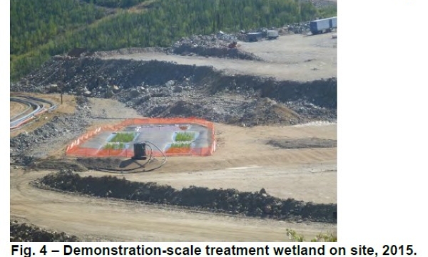 Constructed wetland demonstration