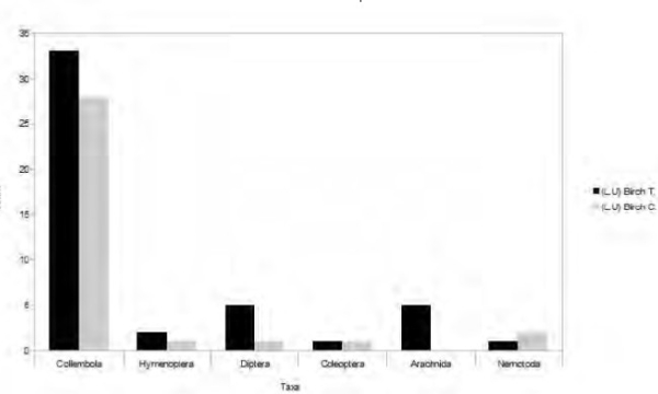 Microarthropod types in reclamation sites