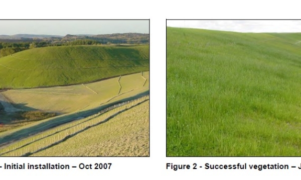 Sudbury mine reclamation