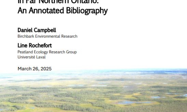 Annotated Bibliography