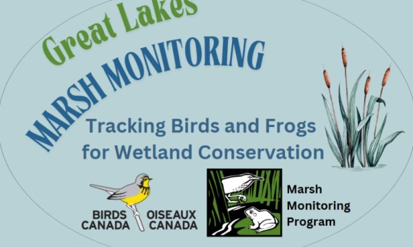 Marsh Monitoring Poster