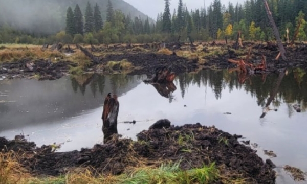 Cambridge Creek wetlands restoration project