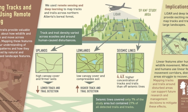 LiDAR and CNN Graphical Abstract