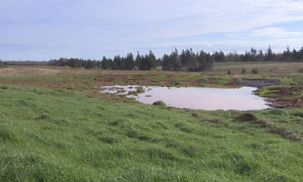 PEI Wetland