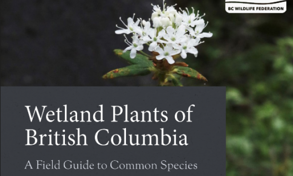 Wetland Plants of British Columbia