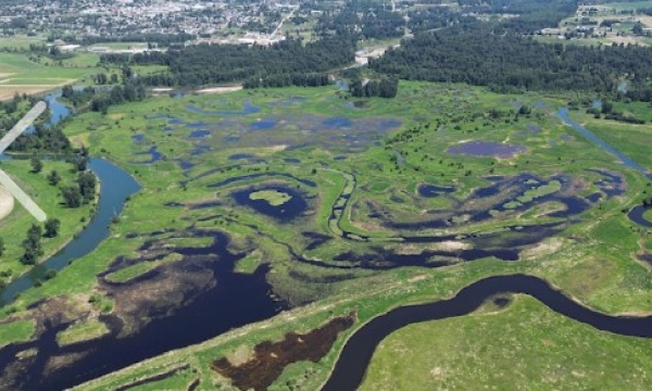 Lower Kootenay wetland restoration