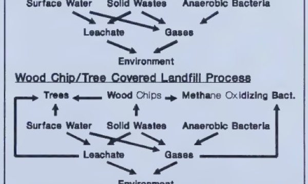 Wood waste for reclamation
