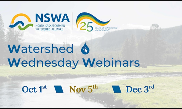 NSWA Webinars