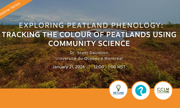 jan_webinar_template_2026