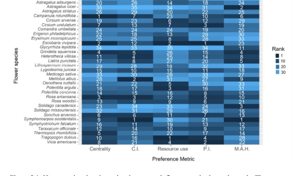 Plant preference by insects