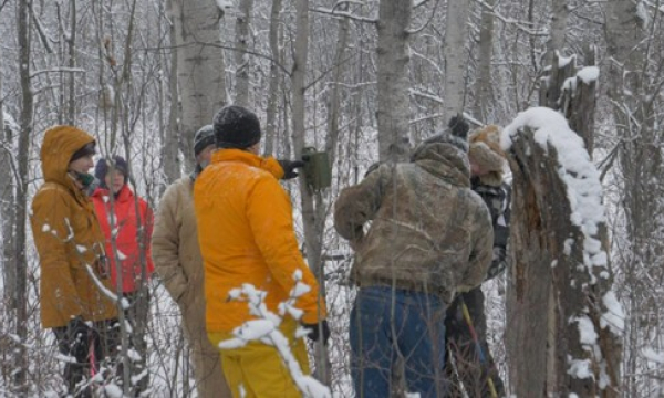 Wildlife camera monitoring