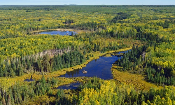 Boreal Wetland Complex