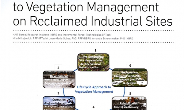 Life Cycle Approach Image