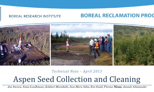 Harvesting and Cleaning Aspen Seeds Title