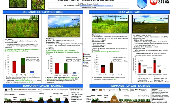 Implications for Restoration of Linear Disturbances Image