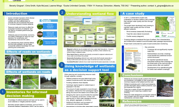 Building Better Crossings Image