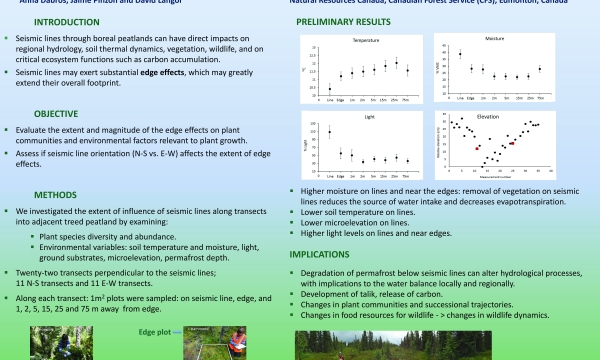 Edge Effects of Conventional Seismic Lines in Northern Alberta Peatlands