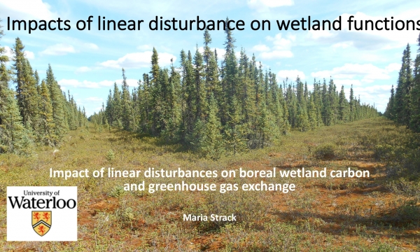 Impact of Linear Disturbances Image