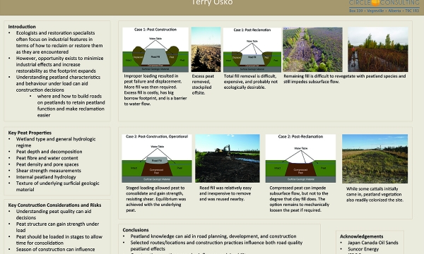 Planning for Wetland Function and Reclamation Success in Road Design
