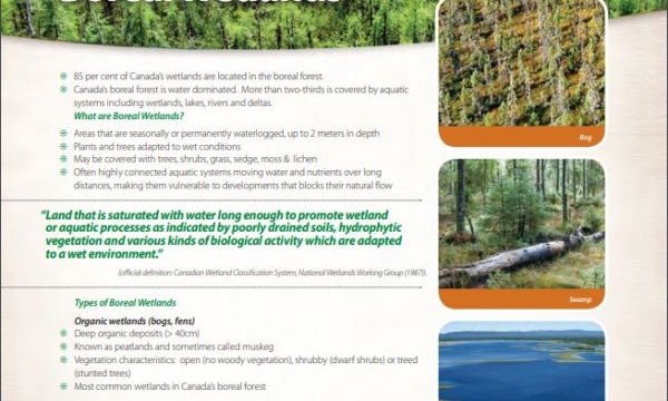 Boreal Wetland Factsheets