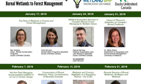 DUC &amp; CIF e-lecture series poster