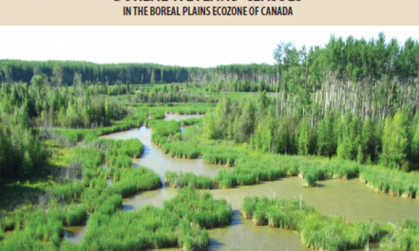 Cover page of the Field Guide