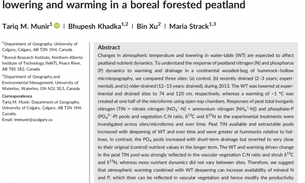 Mineral Nitrogen and Phosphorus Pools Affected by Water Table