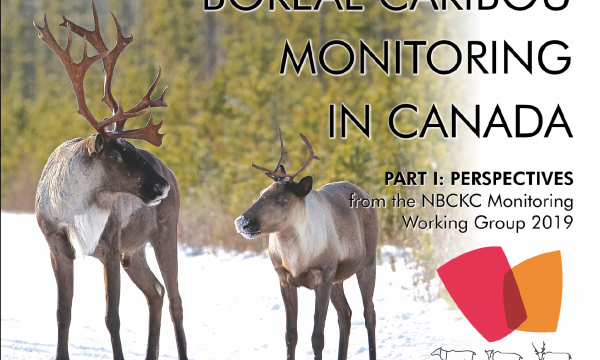 Part I: Perspectives from the NBCKC Monitoring Working Group (2019)