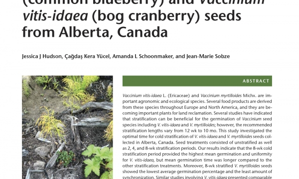 Effects of Cold Stratification