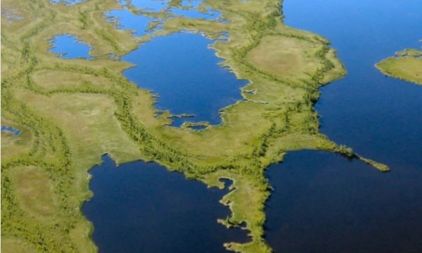 Enhanced Wetland Classification Inferred Products User Guide