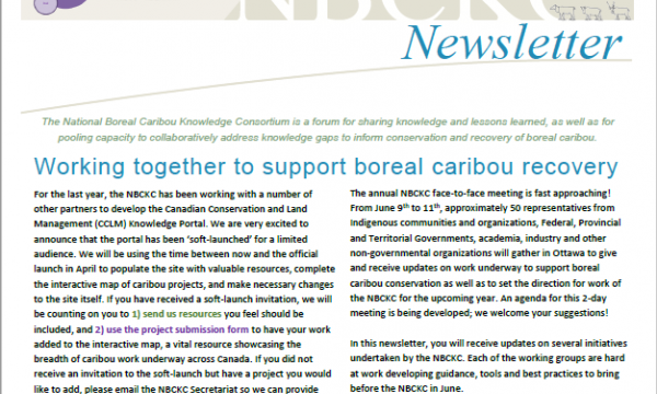 Cover page of NBCKC Newsletter #7 - February 2020 (EN)
