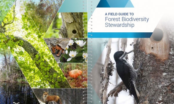 Field Guide to Biodiversity Stewardship