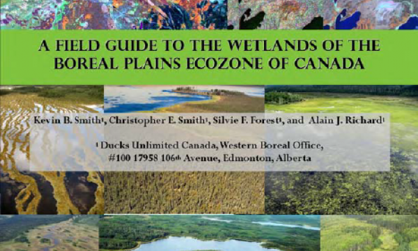 Ducks Unlimited Canada Enhanced Wetland Field Guide Cover