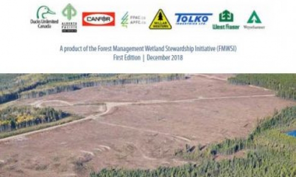 DUC Guiding Principles Practitioner Guide Cover