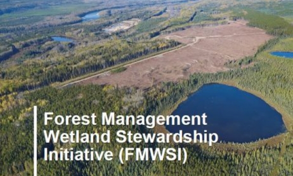 DUC Guiding Principles Technical Report Cover