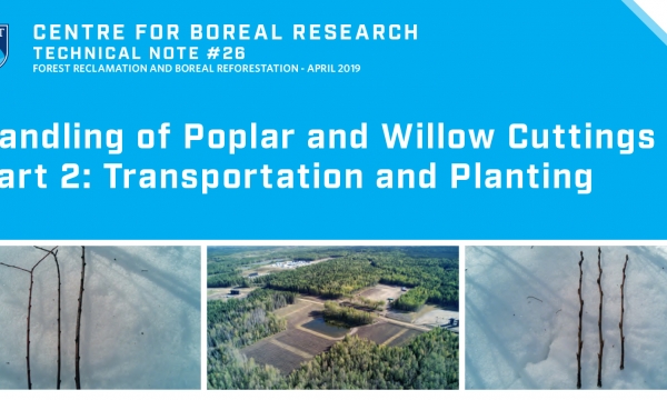 Poplar and Willow Part 2 Title