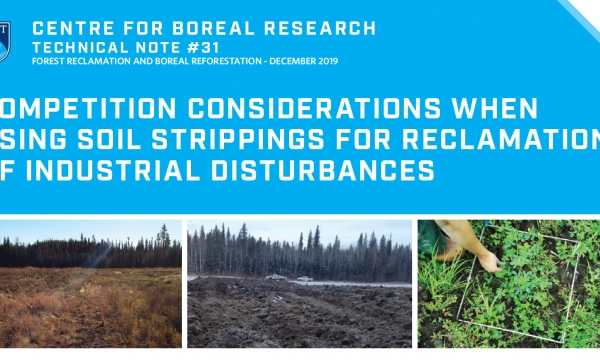 Competition Considerations When Using Soil Strippings Title