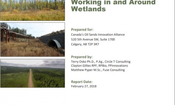 COSIA In-situ Wetland Practices Report Cover