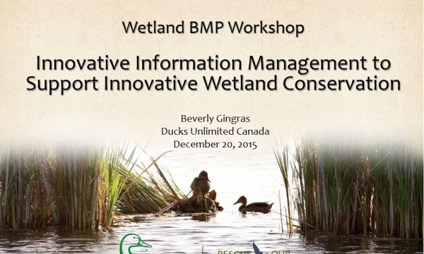 Innovation Information Management to Support Wetland Conservation